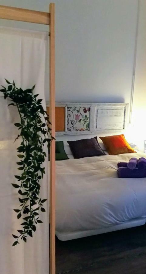 Bellver Bedrooms 卡迪瓦 外观 照片